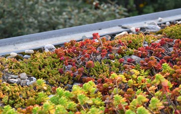 the cost of Yarpole green roof installation