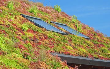 Yarpole living roof systems
