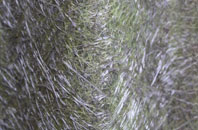 Yarpole fibreglass roof work